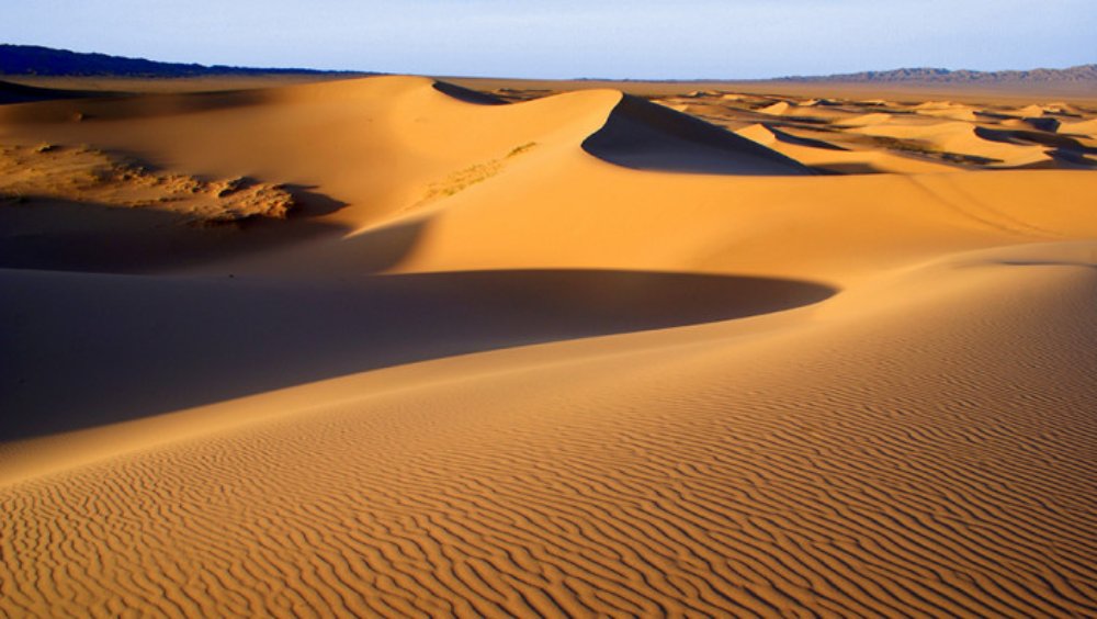 এমন অতি শুষ্ক পরিবেশে গাছপালাতে বাঁচিয়ে রাখাই সবচেয়ে বড় চ্যালেঞ্জ ছিল চিনের সামনে। তাতে উত্তীর্ণও হয়েছে তারা।