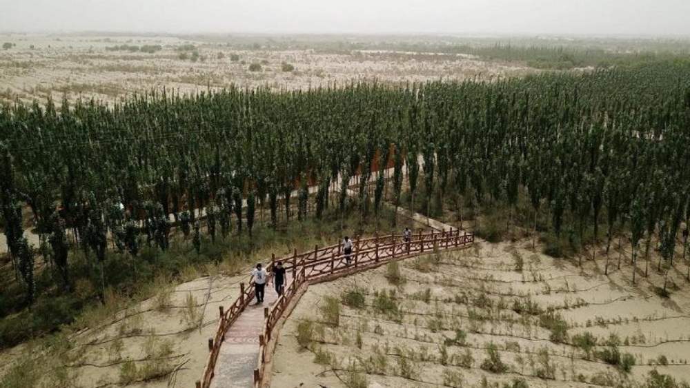 ২০০৯ সাল পর্যন্ত মরুভূমির পাঁচ লাখ বর্গ কিলোমিটার এলাকা জুড়ে গাছ বসিয়ে দিয়েছিল চিন। বিশ্বের সবচেয়ে বড় কৃত্রিম বনভূমি এটিই।