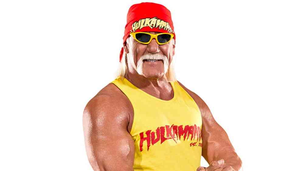 ২০০৩: ডাব্লিউডাব্লিউই-র তারকা হাল্ক হোগানের জনপ্রিয়তার অন্যতম বড় কারণ তাঁর গোঁফ। সে বছরের জনপ্রিয়তার শীর্ষে এটি। 