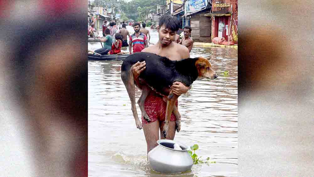 decrease of water level in Udaynarayanpur and Amta