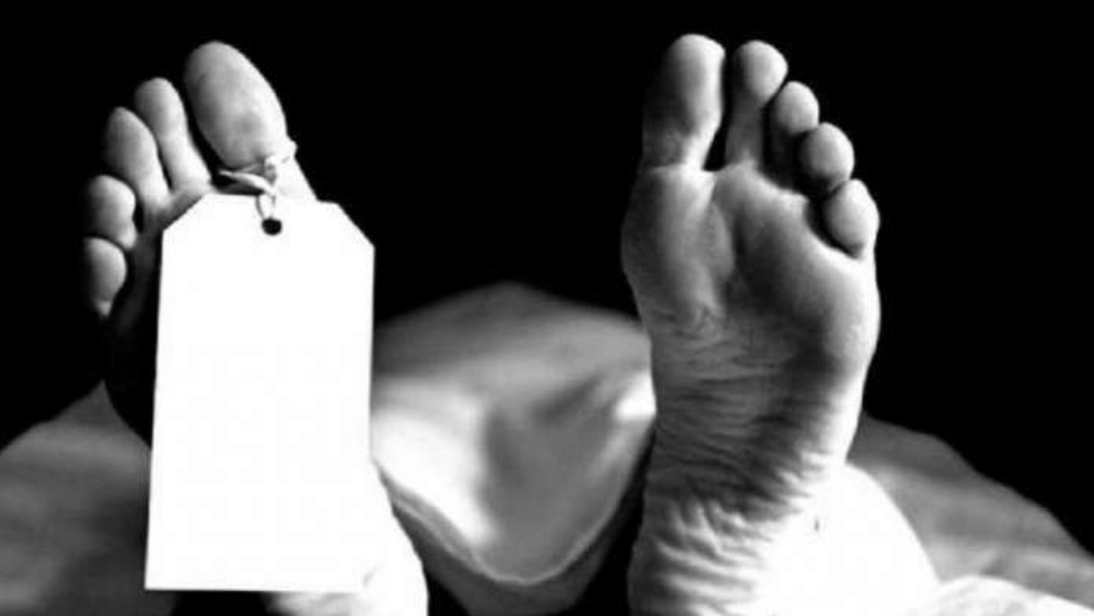 সায়ানাইড মল্লিকা কর্নাটকের কাগ্গালিপুরার বাসিন্দা ছিল। এক জন দর্জির সঙ্গে সংসারও পেতেছিল। কিন্তু এই ভয়ানক কারবার করে যাচ্ছিল স্বামীর অজান্তেই। সেটা জানতে পারার পর ১৯৯৮ সালে স্বামী তাকে ঘর থেকে বার করে দেন। তার পর থেকেই মূলত তার টাকা-পয়সার লোভ এতটাই বেড়ে যায় যে সে খুনি হয়ে ওঠে।