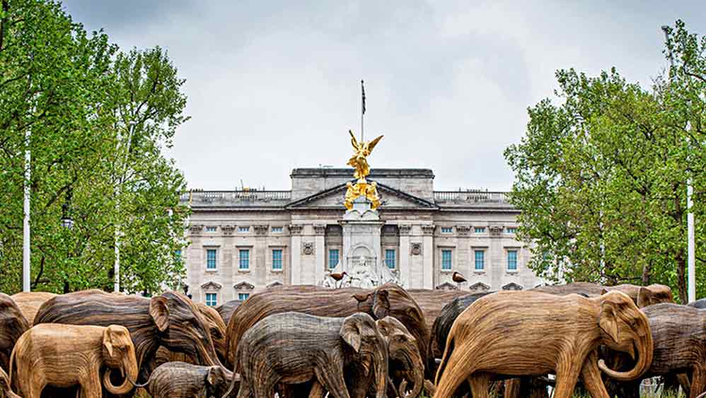 বিস্ময়: বাকিংহাম পেরোচ্ছে হাতিমূর্তিরা।