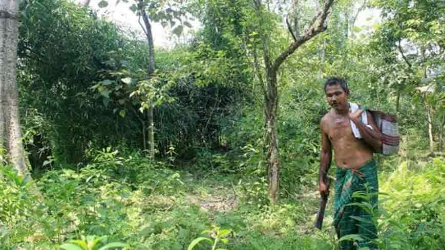 একা হাতেই গাছ লাগিয়ে চলেছেন ‘ফরেস্ট ম্যান অব ইন্ডিয়া’।