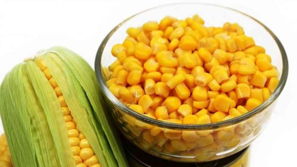 কোন ভুট্টা শরীরের জন্য ভাল?