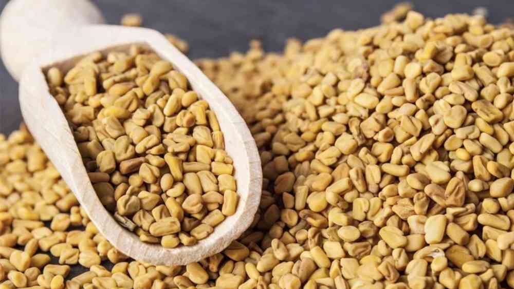 মেথিতেই কমবে ব্যথা।