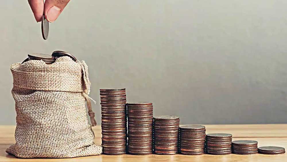 ফ্লেক্সিক্যাপে টাকা ঢালার আগে দেখে নিন আপনার টাকা কোথায় ঢালা হচ্ছে।