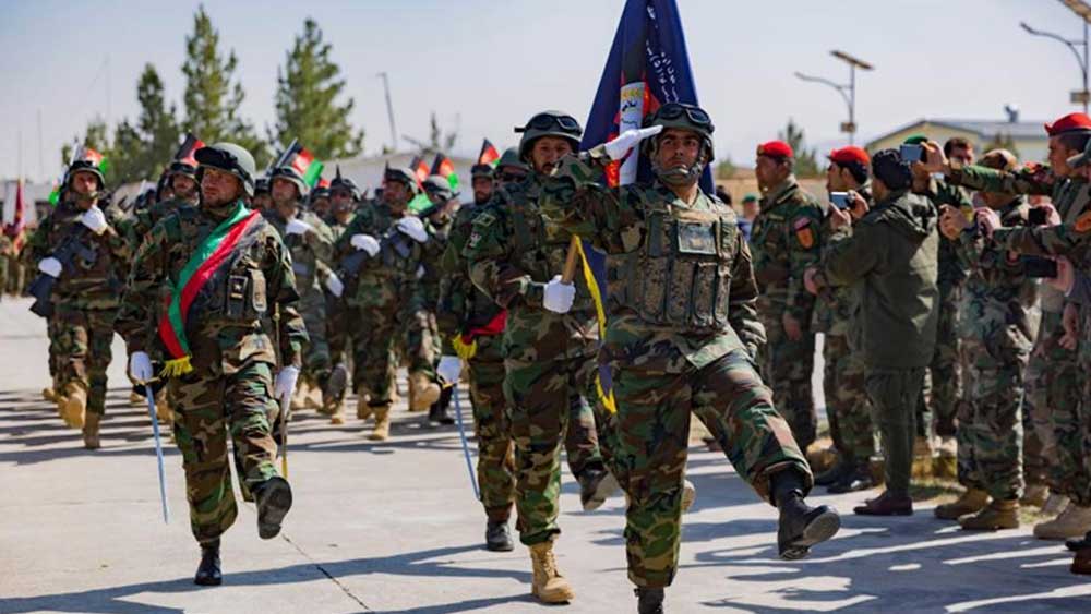 সে বছর আফগান সরকারের মোট রাজস্ব আদায় ছিল ৫৫০ কোটি ডলার (৪১ হাজার কোটি টাকা)। এর ২ শতাংশ বরাদ্দ হয়েছিল প্রতিরক্ষা খাতে। তবে আমেরিকার খয়রাতিতে অস্ত্র এবং সামরিক সরঞ্জাম পায় কাবুল।