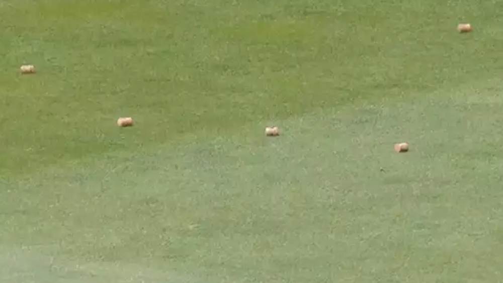 মাঠে পড়ে সেই ছিপি।