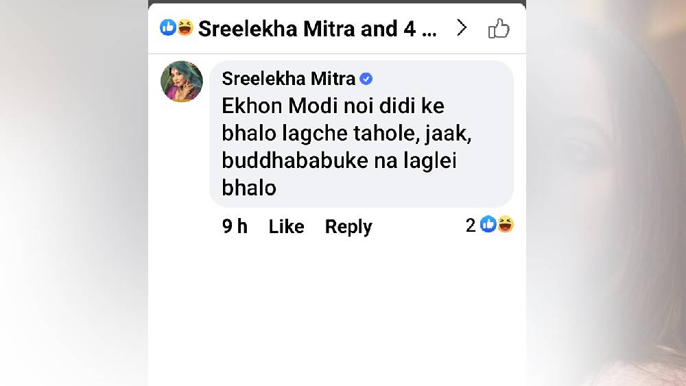 জনৈক নেটাগরিকের পোস্টে শ্রীলেখার মন্তব্য।