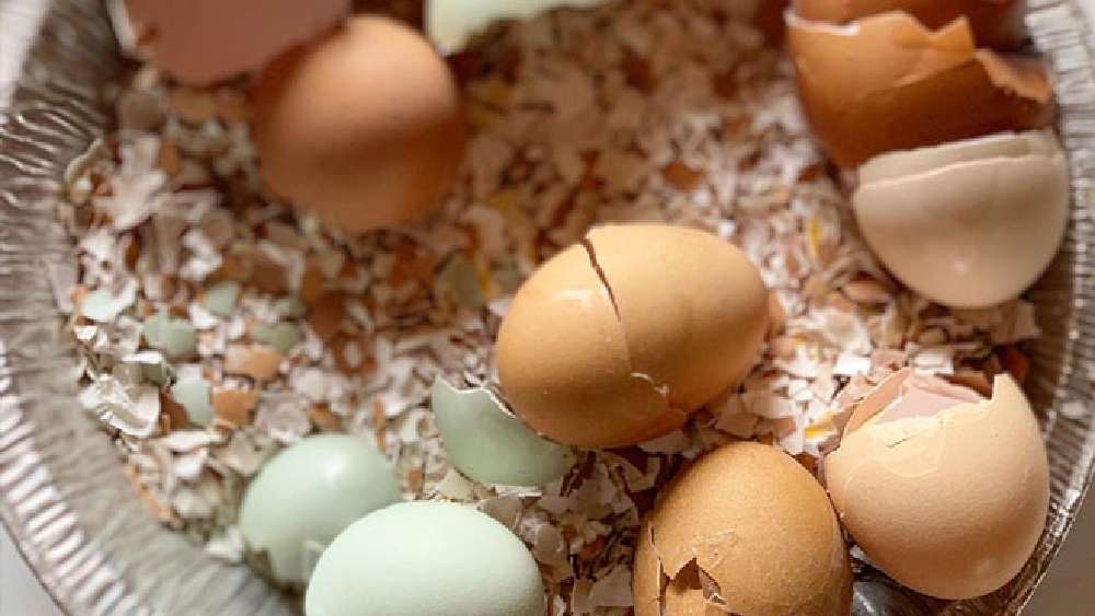 প্রতীকী ছবি।