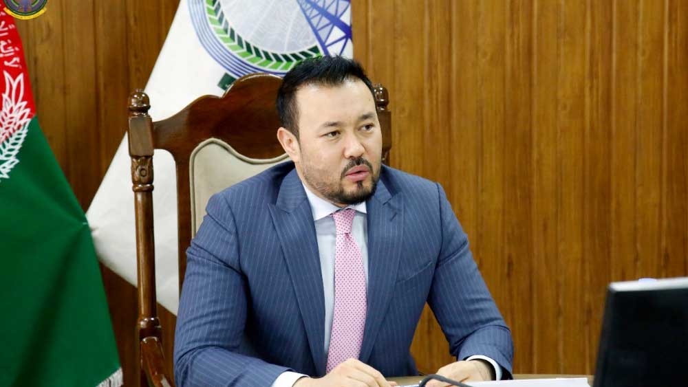 দীর্ঘ দিন আমেরিকা, ব্রিটেন এবং ন্যাটো বাহিনীর সংস্পর্শে থেকে তাদের আদবকায়দা শিখে নিয়েছিলেন ফহিম। পরবর্তীকালে বিদেশ থেকেও কাজের বরাত নিতে শুরু করেন তিনি। ব্যবসায়িক বুদ্ধি কাজে লাগিয়ে পরবর্তী কালে কোটিপতি হয়ে ওঠেন ফহিম। বর্তমানে হাশিমি গ্রুপের মালিক তিনি। আফগানিস্তানের জনপ্রিয় টেলিভিশন চ্যানেল ‘১ টিভি’-এর মালিক ফহিম। এ ছাড়াও, একটি অন্তর্দেশীয় বিমান সংস্থা ‘ইস্ট হরাইজোন’-ও রয়েছে তাঁর। শুধুমাত্র টিভি চ্যানেলটির বাৎসরিক ব্যবসাই ২০ কোটি ডলারের বেশি।