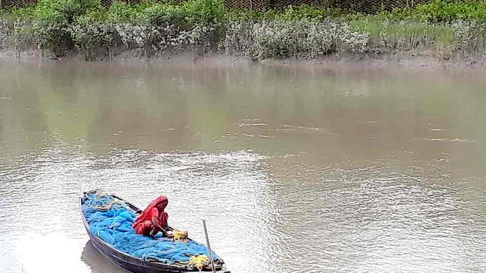 সুন্দরবনের কুড়েখালি নদীতে মাছ, কাঁকড়া ধরছেন এক মহিলা। 