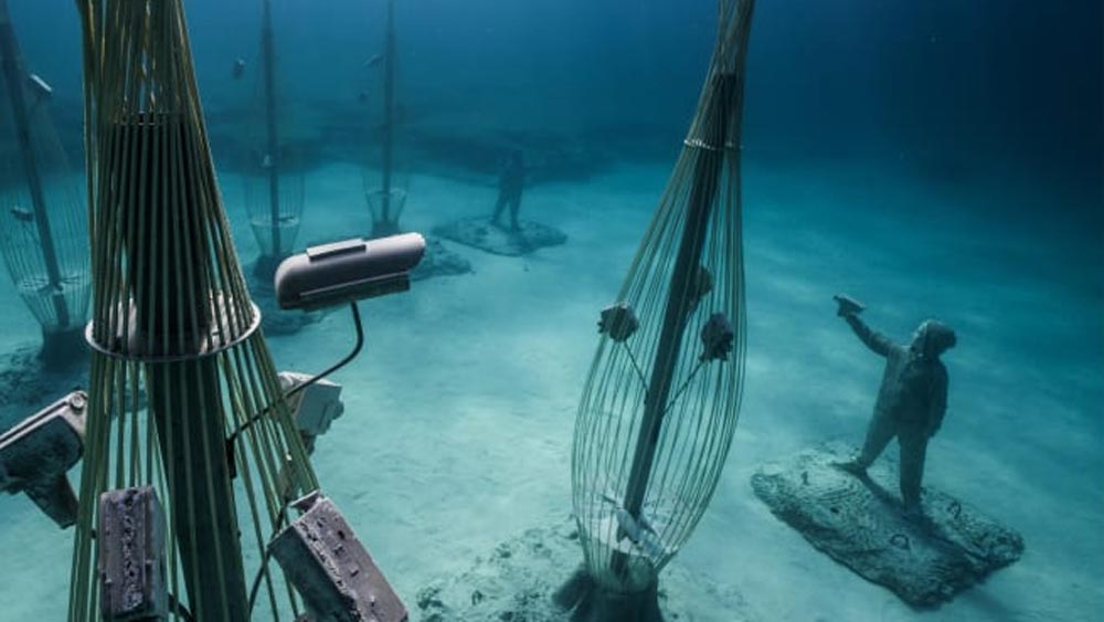 জলের নীচের প্রকৃতির সঙ্গে স্থানীয় মানুষদের পরিচিতি করানোর উদ্দেশ্যেই এই শিল্পকলা টেলরের।