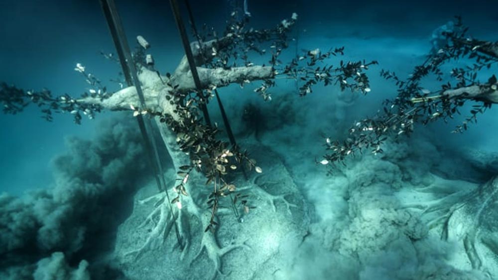 সাইপ্রাসের নতুন পার্কটিতে ৯৩টি মূর্তি গড়ে তুলেছেন তিনি। খরচ হয়েছে ১.১ মিলিয়ন ডলার। যা ভারতীয় মুদ্রায় ৮ কোটি ১৫ লাখ ২১ হাজার টাকা।