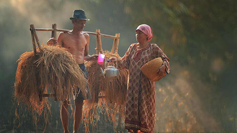 ইন্টারনেটের সমস্যার জন্য অনেক বাধার সম্মুখীনও হতে হয় তাঁদের। তার উপর ভাল ক্যামেরা না থাকায় সব সময় ঠিক মতো ভিডিয়োও করে উঠতে পারেন না তাঁরা।