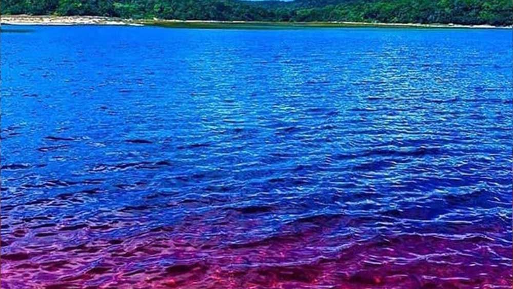 ব্রাজিলের কোকা কোলা লেক।