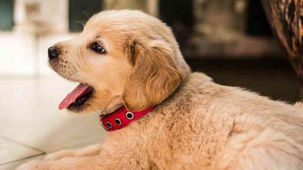 প্রতীকী ছবি