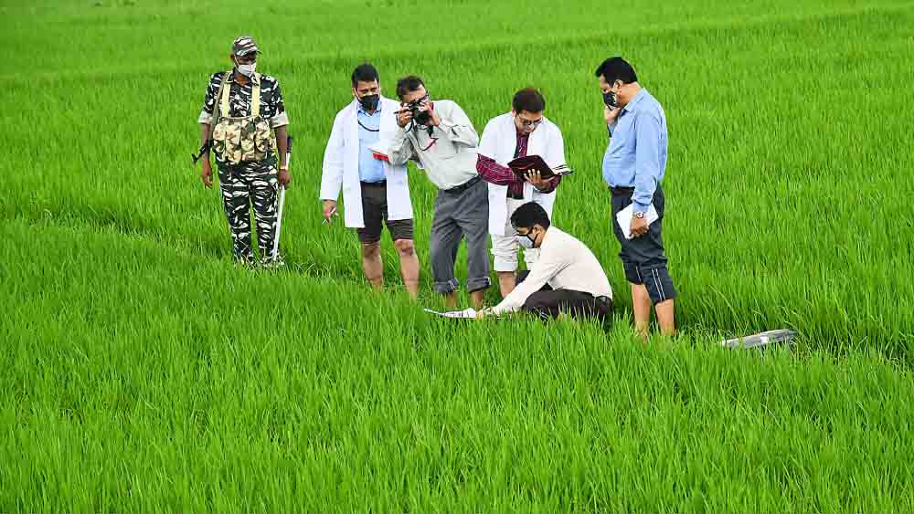 বিজেপি কর্মী মনোজ জয়সওয়ালের খুনের তদন্তে সিবিআই। রবিবার নলহাটিতে। 