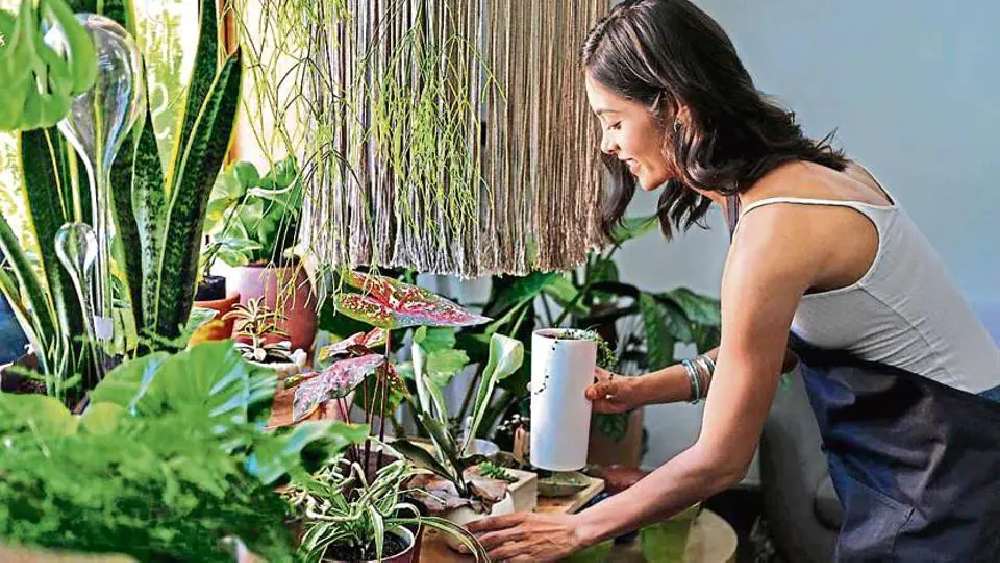 প্রতীকী ছবি।