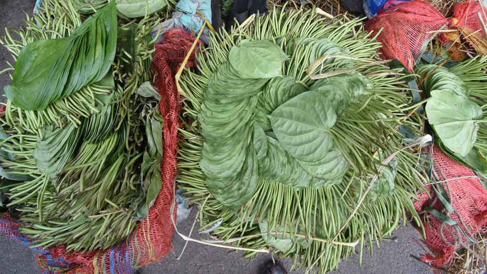 তবে এই গাছের পরিচয় নিয়েও বিতর্ক আছে। অনেক গবেষকের মত, বৈঠকখানার সঙ্গে সম্পর্কিত গাছ কোনও ভাবেই বটগাছ ছিল না। বরং, তা ছিল নিমগাছ। এবং সে গাছের অস্তিত্ব ছিল বেনিয়োটোলা আর শোভাবাজারের মাঝে গঙ্গার ধারে, নিমতলায়। সেই গাছের ছায়ায় জমে ওঠা আড্ডা থেকেই জন্ম ‘বৈঠকখানা’ নামের। জোব চার্নকের মৃত্যুর পরেও বহু দিন সে গাছের অস্তিত্ব ছিল। ১৭৭৯ খ্রিস্টাব্দে সেটি পুড়িয়ে ফেলা হয়। কেন, সেই কারণ জানা যায় না।