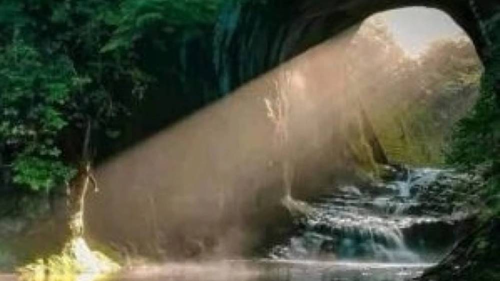 এই ছবিই পোস্ট করেছিলেন মহিলা।