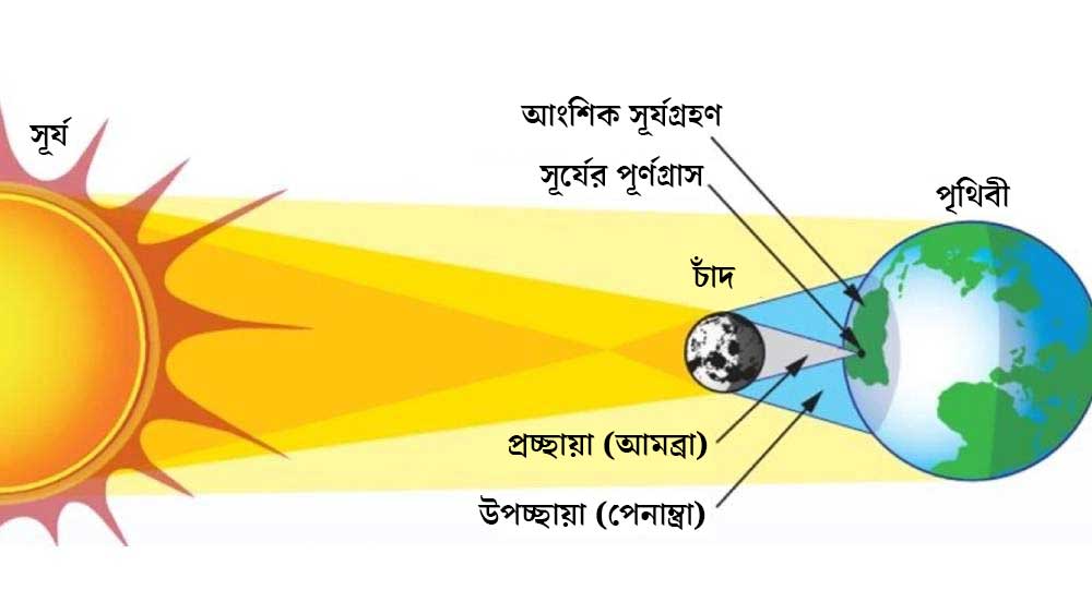 গ্রাফিক- শৌভিক দেবনাথ।