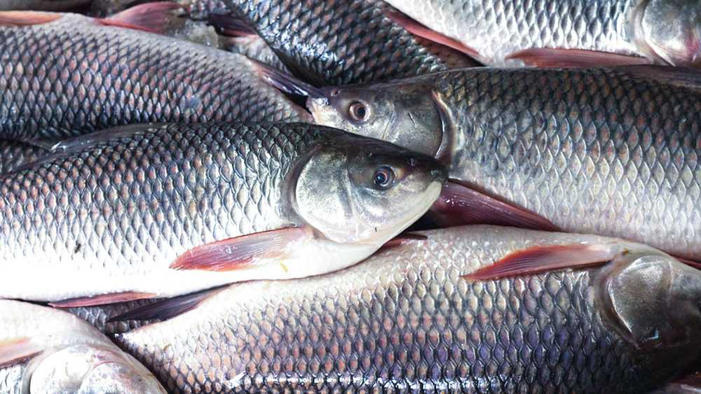 প্রতীকী ছবি।