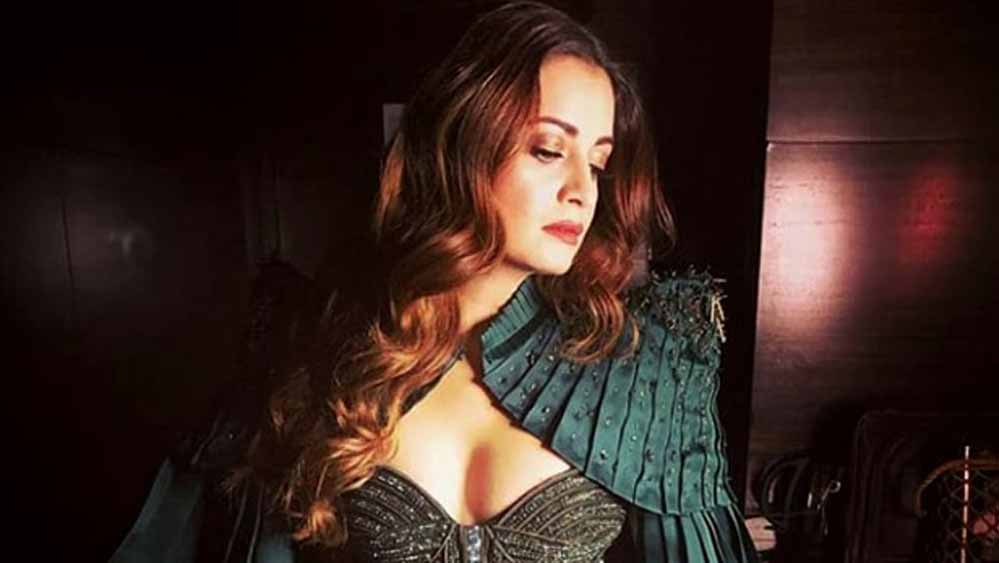 মা দীপা যদিও কোনওদিনই সিনেমায় আগ্রহী ছিলেন না। তাঁর বিচরণ ক্ষেত্র ছিল তুলি-ক্যানভাসে। কিছুটা সামাজিক সংস্কারের কাজেও। মাদকাসক্তদের মূলস্রোতে ফিরতে সাহায্য করতেন দীপা। নিজে শিল্পী, বিয়েও করেছিলেন এক জার্মান শিল্পীকে। নাম ফ্র্যাঙ্ক হ্যন্ডরিক। দিয়া এই ফ্র্যাঙ্কেরই সন্তান।