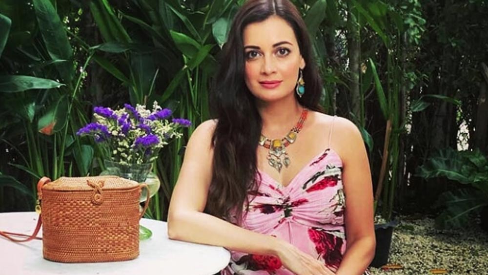 দীপা চেয়েছিলেন দিয়া আইন নিয়ে বেঙ্গালুরুতে পড়াশোনা করুন। তবে দিয়ার মাথায় তখন জেদ চেপেছে মডেলিংয়ের। ঠিক করেন দুটোই করবেন। কলেজে পড়তে পড়তেই শুরু হয় তাঁর মডেলিংয়ের কাজ। লিপটন, ওয়ালস আইসক্রিম, ইমামির মতো ব্র্যান্ডের বিজ্ঞাপনের কাজ পেতে শুরু করেন।