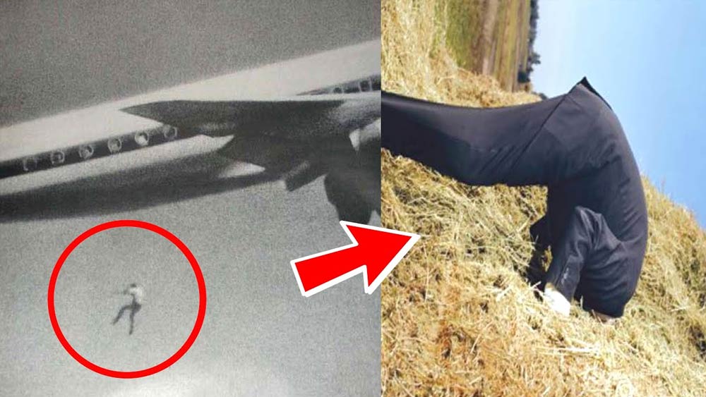 এ দিকে ফ্রানে, যিনি প্যারাশ্যুট ছাড়াই বিমান থেকে ছিটকে গিয়েছিলেন, বেঁচে যান। তিনি নিজে অবশ্য ভেবেছিলেন আর কয়েক সেকেন্ডের মধ্যেই সব শেষ। কিন্তু আকাশ থেকে তিনি সোজা গিয়ে পড়েন একটি খড়ের গাদায়। তেমন কোনও আঘাতই পাননি ফ্রানে!