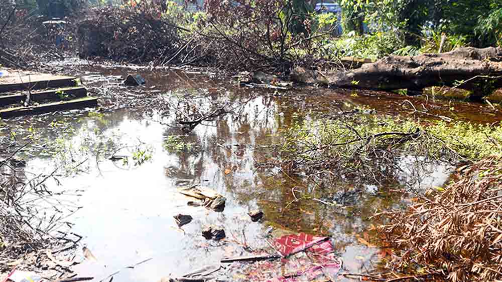  ধর্মতলার কার্জন পার্কে জমে রয়েছে জল। 