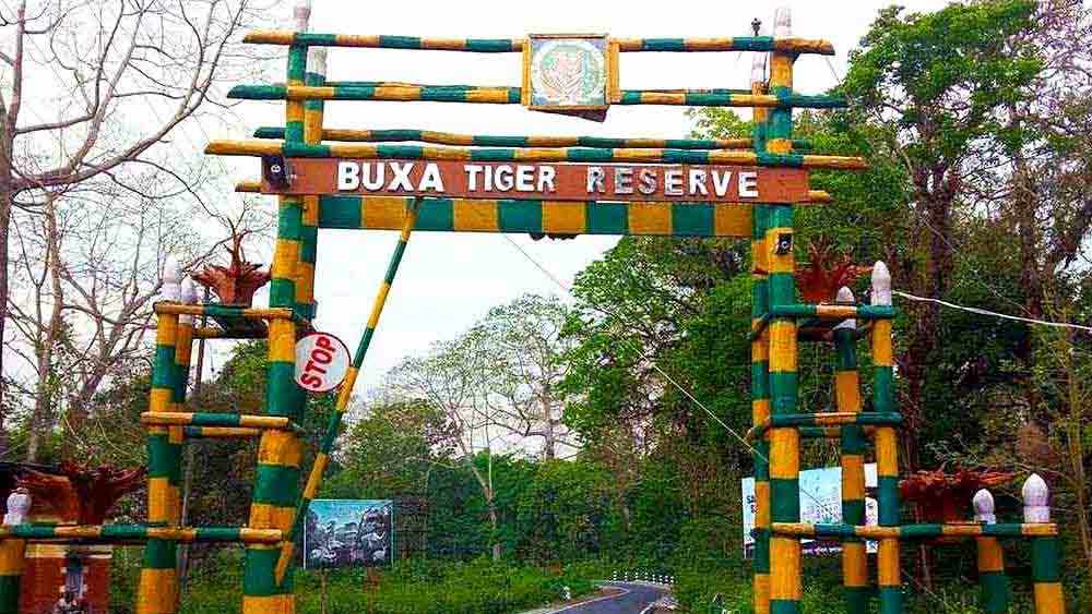 বক্সায় বাঘের উপস্থিতির কোনও প্রমাণ সে ভাবে পাওয়া যাচ্ছিল না। প্রশ্ন উঠছিল, তবে কি বক্সায় বাঘের সংখ্যা শূন্য হয়ে গেল?