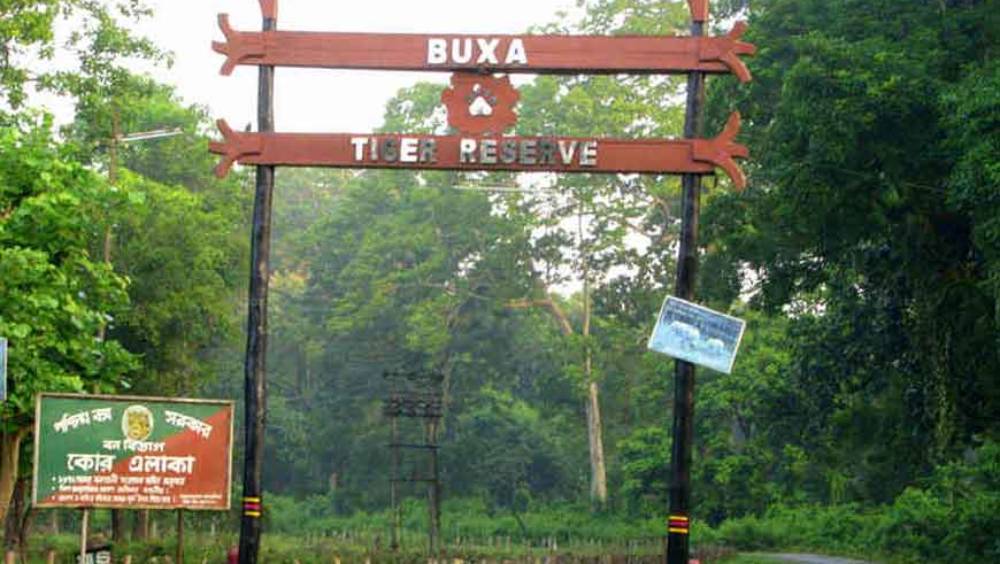 জলপাইগুড়ির বক্সা অভয়ারণ্যের মূল প্রবেশ পথ। -ফাইল ছবি।