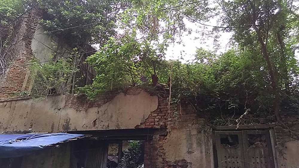 এখন সেই উঁচু গাছগুলি নেই। নেই হেস্টিংস নদীও। শুধু ফ্যান্সি লেন সাক্ষী রয়ে গিয়েছে অসংখ্য মৃত্যুর।  (ঋণস্বীকার: কলকাতা: শ্রীপান্থ, কলিকাতার রাজপথ সমাজে ও সংস্কৃতিতে: অজিতকুমার বসু, মিউনিসিপ্যাল ক্যালকাটা: ইটস ইনস্টিটিউট ইন দেয়ার অরিজিন অ্যান্ড গ্রোথ) (ছবি: আর্কাইভ, শাটারস্টক এবং সোশ্যাল মিডিয়া)