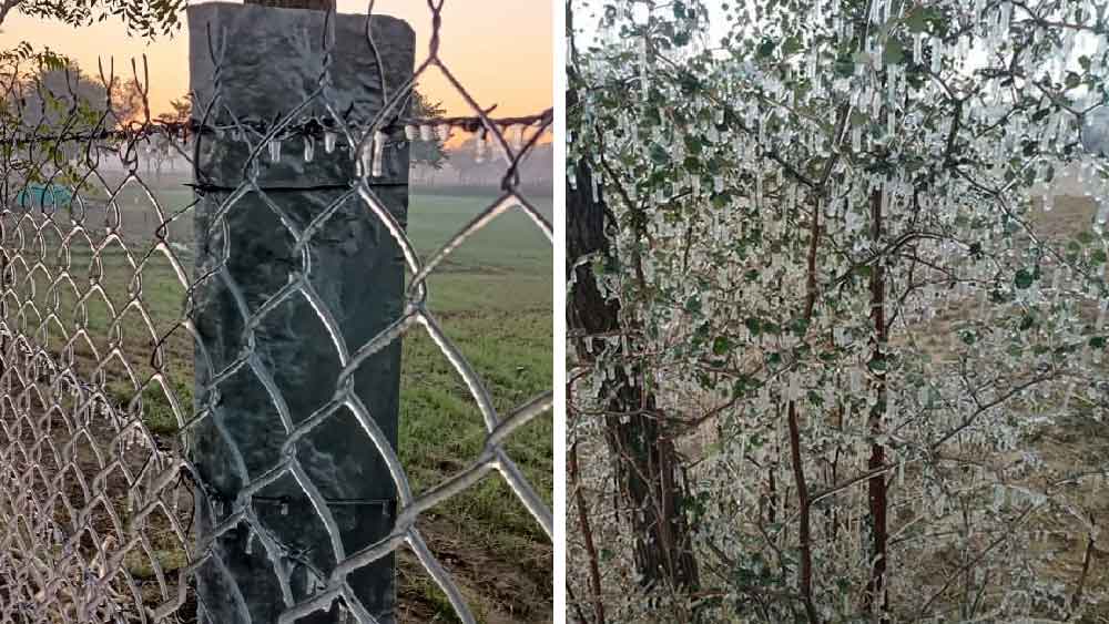 রাজস্থানের সিকরে তাপমাত্রা হিমাঙ্কের নীচে নেমে গিয়েছে। ছবি সৌজন্য টুইটার।