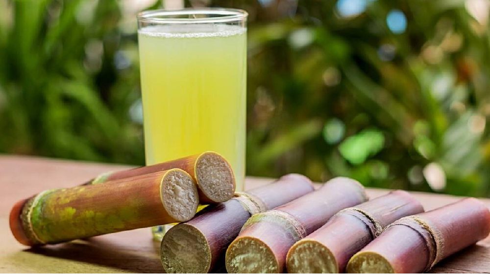 প্রতীকী ছবি।