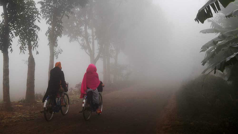 প্রতীকী ছবি।