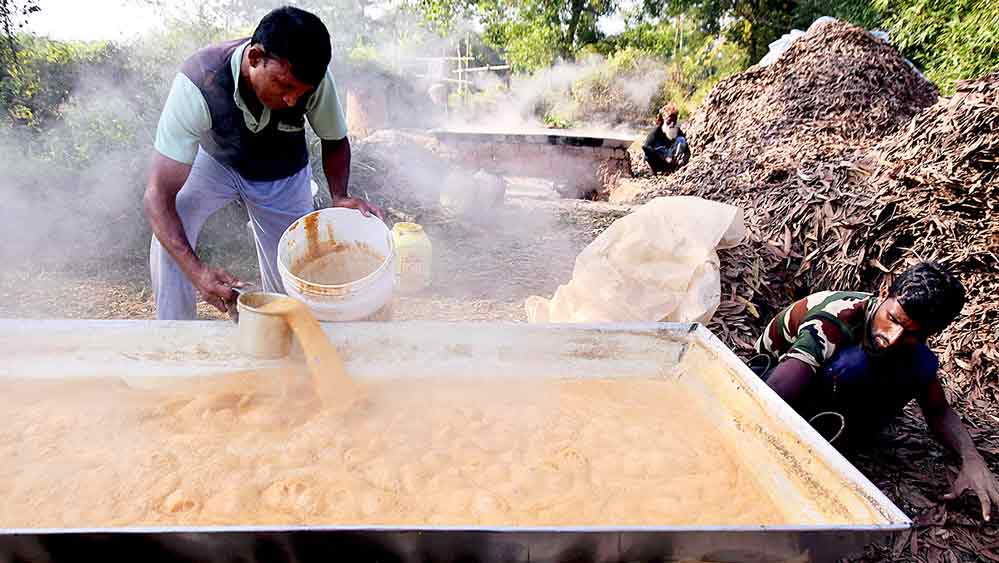 বিষ্ণুপুরের গ্রামে চলছে গুড় তৈরি। 