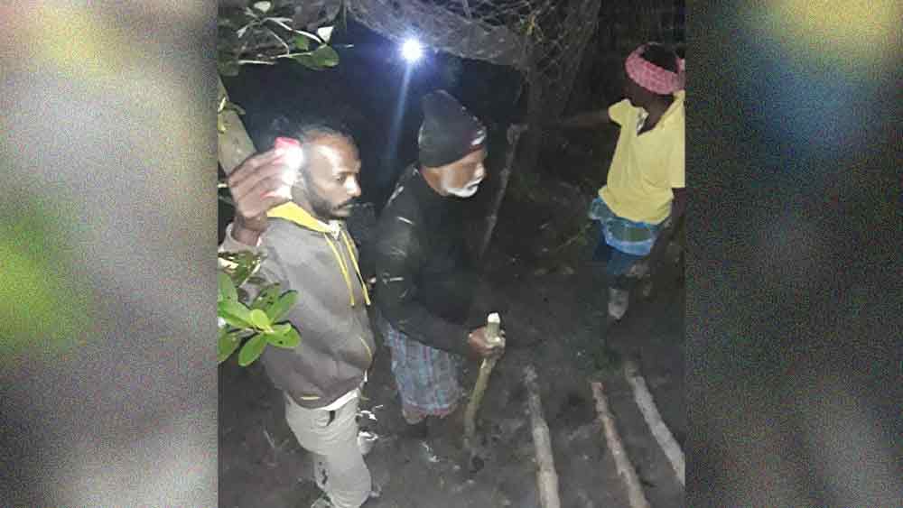 খাঁচা পেতেও ধরা যাচ্ছে না বাঘ