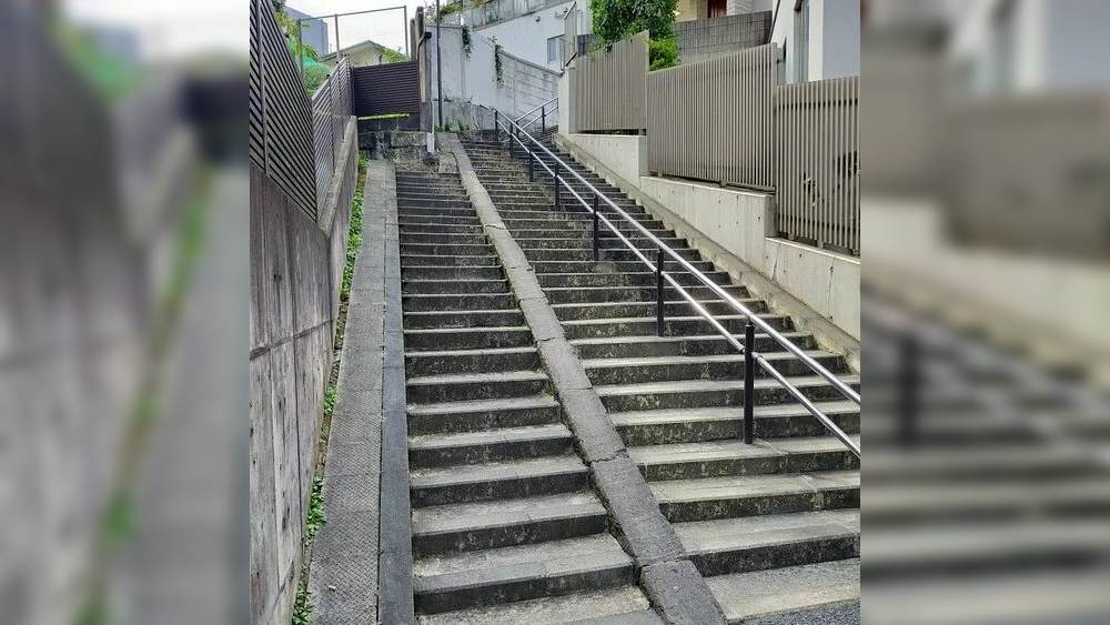 টোকিয়োর নেজু জেলার এই সিঁড়ি বেয়ে ওঠার সময় ৪০ ধাপ উঠতে হয়। কিন্তু নামার সময় নাকি বেমালুম কমে যায় একটি ধাপ।