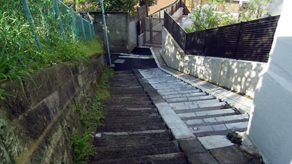 এখন অবশ্য টোকিওর ওই ‘কায়দান’ অনেকটা প্রশস্ত। ঝকঝকে রেলিংও বসেছে তার মাঝ ববরাবর। তবে পুরনো সিঁড়ির ফালিটি কোনও অজানা কারণে এখনও কিছুটা চাকচিক্যহীন, অবিন্যস্ত।