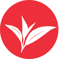 নিজস্ব প্রতিবেদন