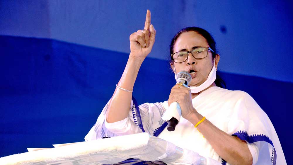 Mamata Banerjee expresses grief over the result of Loksabha Election 2019 in North Bengal