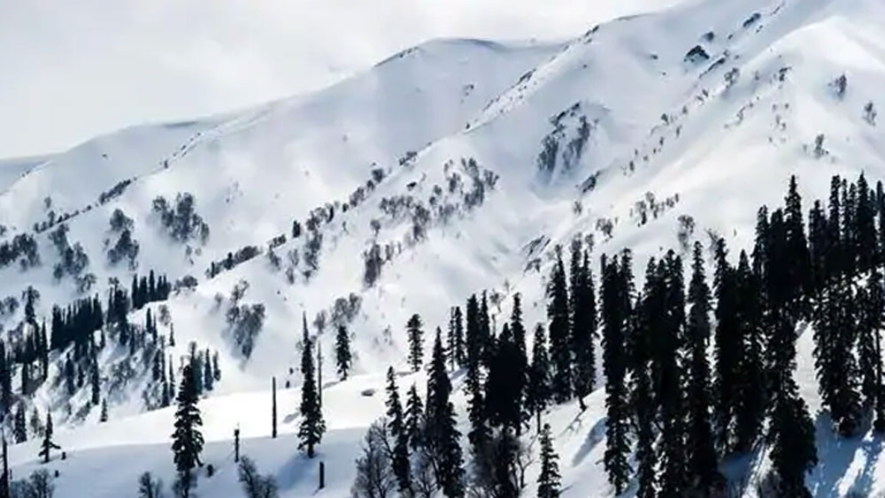 এস্কিমোদের এই বরফের ঘরকে বলা হয় ইগলু। ইগলুতে তাঁদের জীবনযাত্রা নিয়ে ছোট থেকেই আলাদা কৌতূহল জন্মায়। এ বার কিছুটা হলেও সেই কৌতূহল মেটানোর সুযোগ পেতে চলেছেন আপনিও।