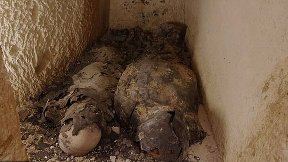 পরলোকে তাঁর সঙ্গে কথা বলার জন্য মৃত ব্যক্তির মুখে সোনার জিভটি বসানো হয়েছিল বলে মনে করছেন প্রত্নতত্ত্বিদরা। তাঁদের ধারণা, মৃতদেহটি সংরক্ষণের জন্য যখন মোমের প্রলেপ লাগানো হচ্ছিল, সেই সময় আসল জিভটি বাদ দিয়ে সোনার জিভটি বসানো হয়।