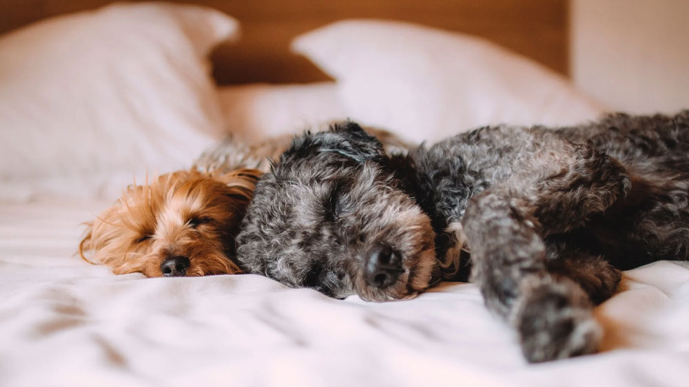 প্রতীকী চিত্র