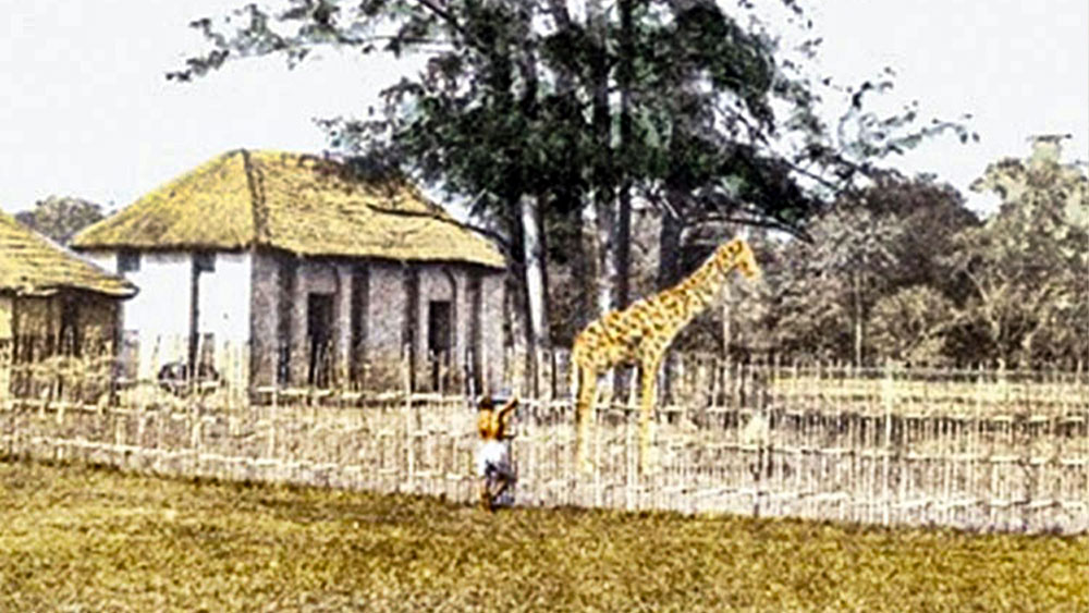 ১৭৭২ খ্রিস্টাব্দে ইস্ট ইন্ডিয়া কোম্পানির ব্যারাক তৈরি হয়েছিল এখানে। সেখান থেকেই তা ব্যারাক-এর শহর বা ব্যারাকপুর। তার আগে এই জনপদের নাম ছিল চানক। তবে এর সঙ্গে জোব চার্নকের কোনও সম্পর্ক নেই। চাণক্য বা সংস্কৃত ভাষার আরও একটি শব্দ ‘চানক’ থেকেই এর নামকরণ হয়েছিল। চানক কথার অর্থ ছোলা। এই ‘চানক’ থেকেই ‘চানাচুর’ শব্দের জন্ম।