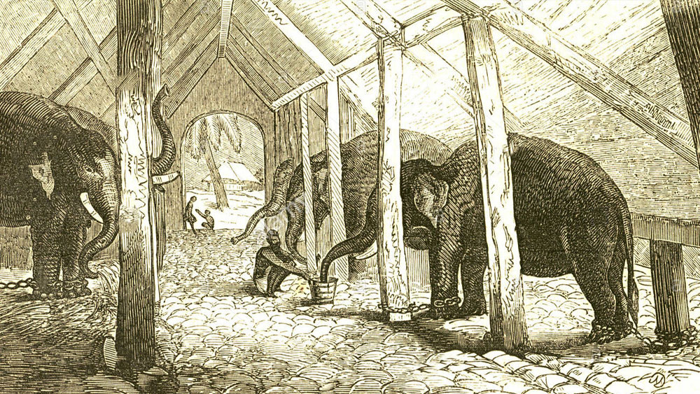 ম্যাকফারসন বা কর্নওয়ালিশের সময় থেকেই বাগানবাড়ি হিসেবে জনপ্রিয় হয় এই জনপদ। তবে এর প্রাণপুরুষ লর্ড ওয়েলেসলি। ১৭৯৮ থেকে ১৮০৫ অবধি তিনি ছিলেন ভারতের গভর্নর জেনারেল। তিনি লন্ডনের আদলে সাজিয়েছিলেন ব্যারাকপুরকেও।