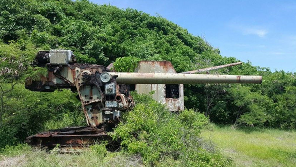 গেরাল্ড ছিলেন এক জন ব্যালিস্টিক ইঞ্জিনিয়ার। তিনি দ্রুত গতির বন্দুক প্রস্তুতকারক হিসাবে প্রসিদ্ধ ছিলেন। ১৯৫০ সালের মাঝামাঝি সময়ে অ্যান্টি-ব্যালিস্টিক ক্ষেপণাস্ত্র নিয়ে কাজ করার সময়ই তাঁর মাথায় এমন পরিকল্পনা আসে।