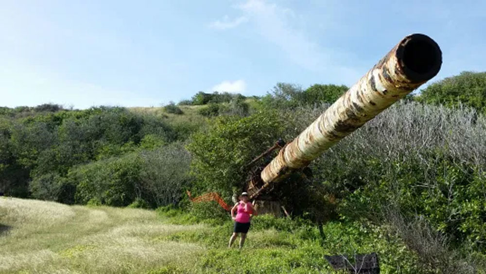হার্প (হাই অলটিচিউড রিসার্চ প্রজেক্ট) নাম ছিল ওই প্রজেক্টটির। আর এই বিশালাকার বন্দুককে বলা হত সুপারগান। বিজ্ঞানী গেরাল্ড বুলের মাথা থেকেই বেরিয়েছিল এমন অভিনব পরিকল্পনা।